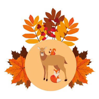 geyik tilki ve sincap mutlu sonbahar sezonu