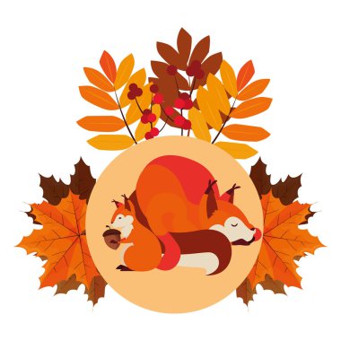 tilki ve sincap mutlu sonbahar sezonu tasarımı