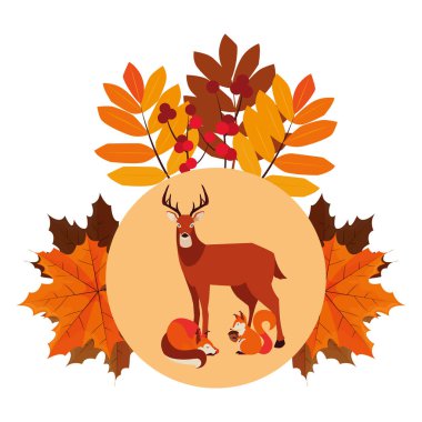 geyik tilki ve sincap mutlu sonbahar sezonu