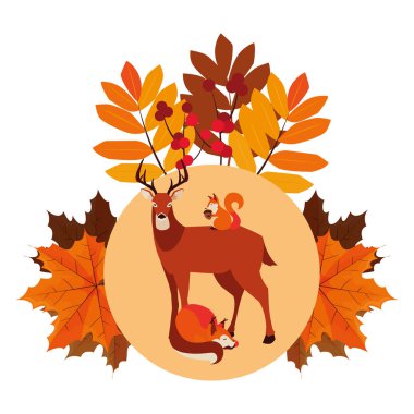 geyik tilki ve sincap mutlu sonbahar sezonu