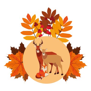 geyikler tilki ve sincap mutlu sonbahar sezonu