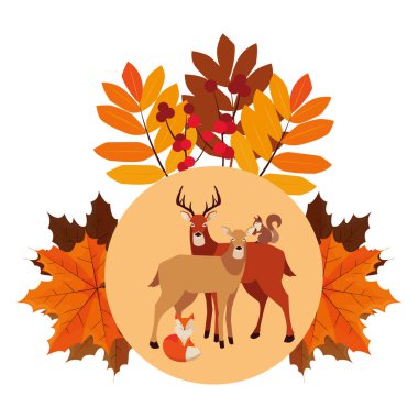 geyik tilki ve sincap mutlu sonbahar sezonu