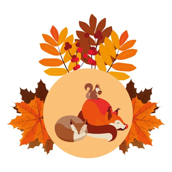 Zorros y ardilla feliz otoño temporada diseño — Vector de stock