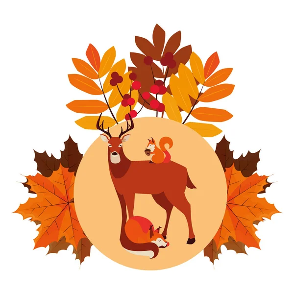 geyik tilki ve sincap mutlu sonbahar sezonu