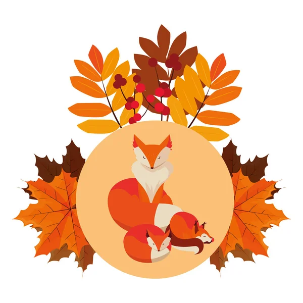 Füchse Säugetier glücklich Herbstsaison flache Gestaltung — Stockvektor