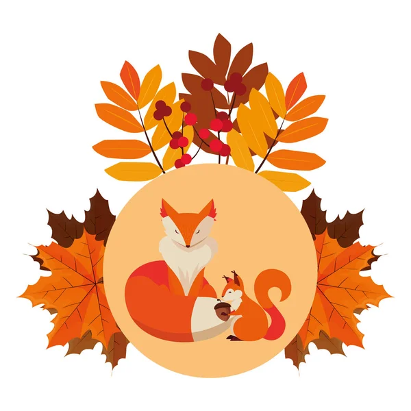 tilki ve sincap mutlu sonbahar sezonu tasarımı