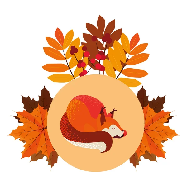 tilki memeli mutlu sonbahar sezonu düz tasarım