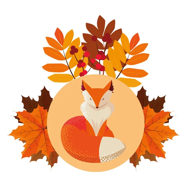 tilki memeli mutlu sonbahar sezonu düz tasarım