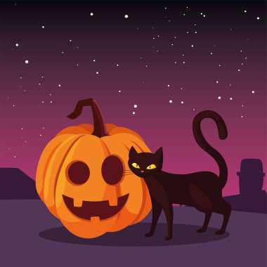 kabak kedi mutlu cadılar bayramı kutlaması