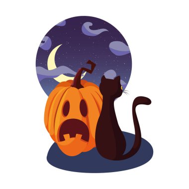 kabak kedi mutlu cadılar bayramı kutlaması