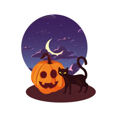 kabak kedi mutlu cadılar bayramı kutlaması