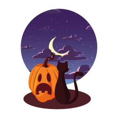 kabak kedi mutlu cadılar bayramı kutlaması