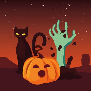 kabak kedi mutlu cadılar bayramı kutlaması