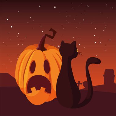 kabak kedi mutlu cadılar bayramı kutlaması