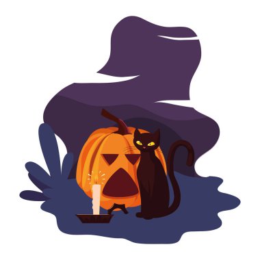 kabak kedi mutlu cadılar bayramı kutlaması