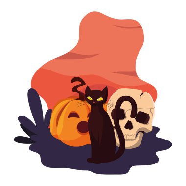 kabak kedi mutlu cadılar bayramı kutlaması