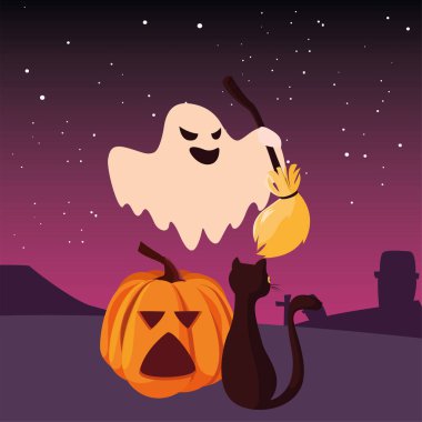 kabak kedi mutlu cadılar bayramı kutlaması