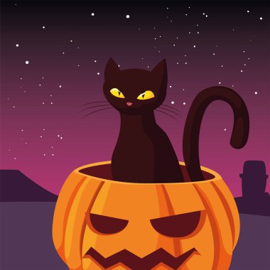 kabak kedi mutlu cadılar bayramı kutlaması