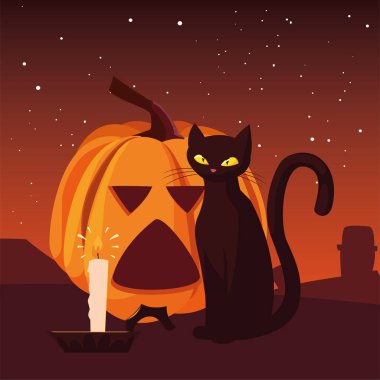 kabak kedi mum mutlu cadılar bayramı kutlaması