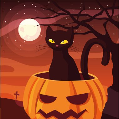 kabak kedi mutlu cadılar bayramı kutlaması