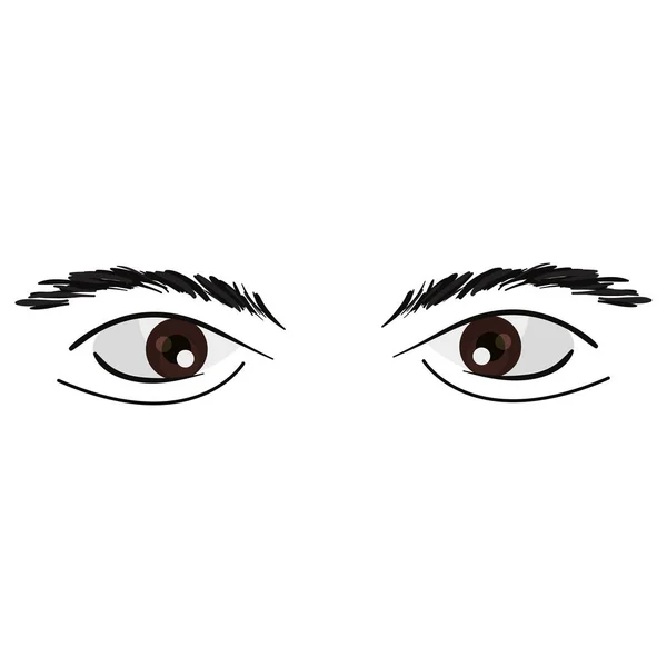 Augen mit Augenbrauen auf weißem Hintergrund — Stockvektor