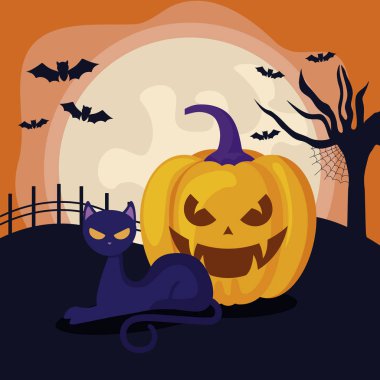 kedi halloween sahne ile kabak