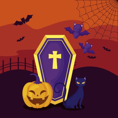 sahne cadılar bayramı tabut ve kedi ile kabak