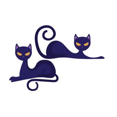 cadılar bayramı kediler kedi hayvanlar