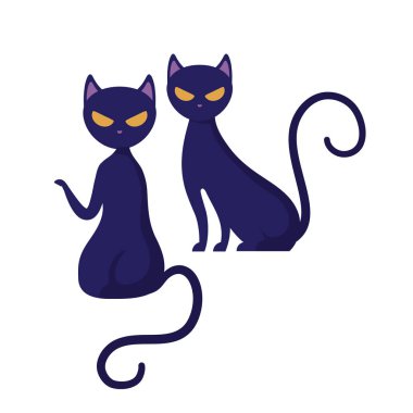 cadılar bayramı kediler kedi hayvanlar