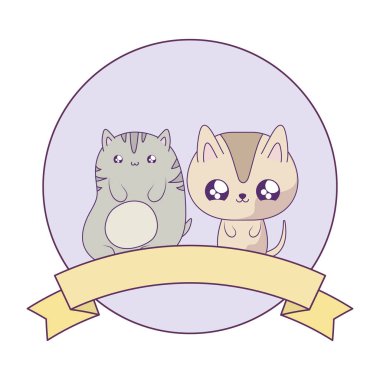 sevimli kediler bebek hayvanlar kawaii