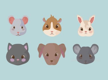 sevimli bebek hayvanlar grubu