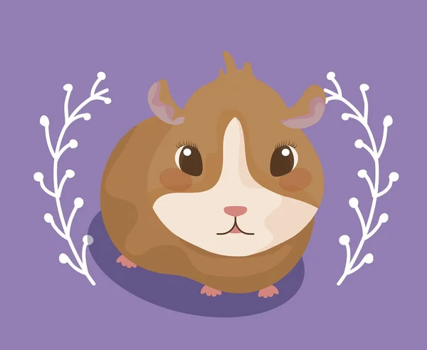 可爱的豚鼠婴儿动物 — 图库矢量图片