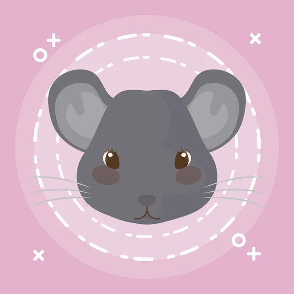 Kopf des niedlichen Hamstertier-Babys — Stockvektor
