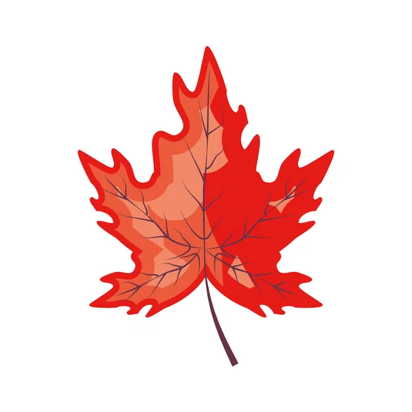 Ahornblätter Herbst Muster Hintergrund — Stockvektor