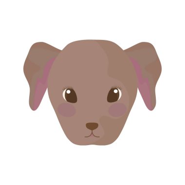 beyaz arka plan üzerinde sevimli köpek başı