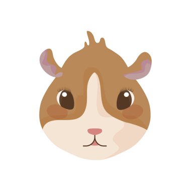 beyaz arka plan ile sevimli hamster başkanı