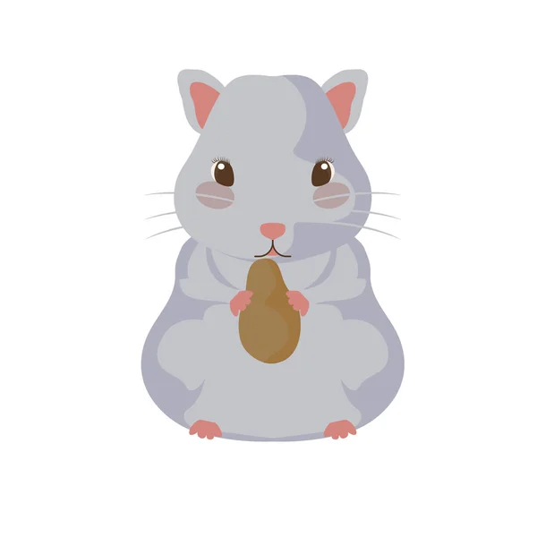 Beyaz arka plan ile küçük hamster gri — Stok Vektör