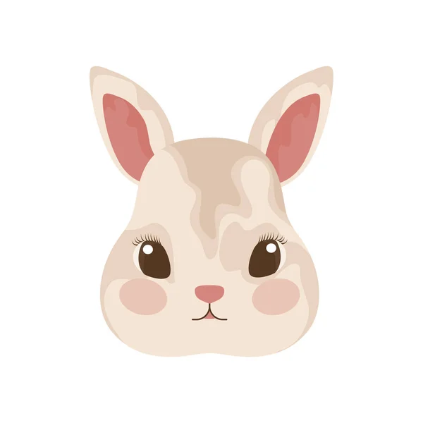 Chef för söt kanin med vit bakgrund — Stock vektor