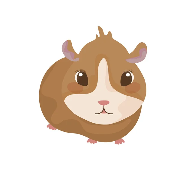 Kleiner Hamster mit weißem Hintergrund — Stockvektor