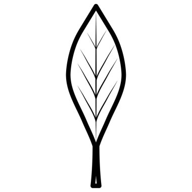 yaprak simgesi resim vektör illüstrasyon