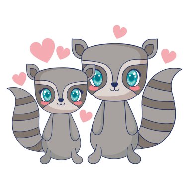 sevimli rakunçift karakter vektör illüstrasyon