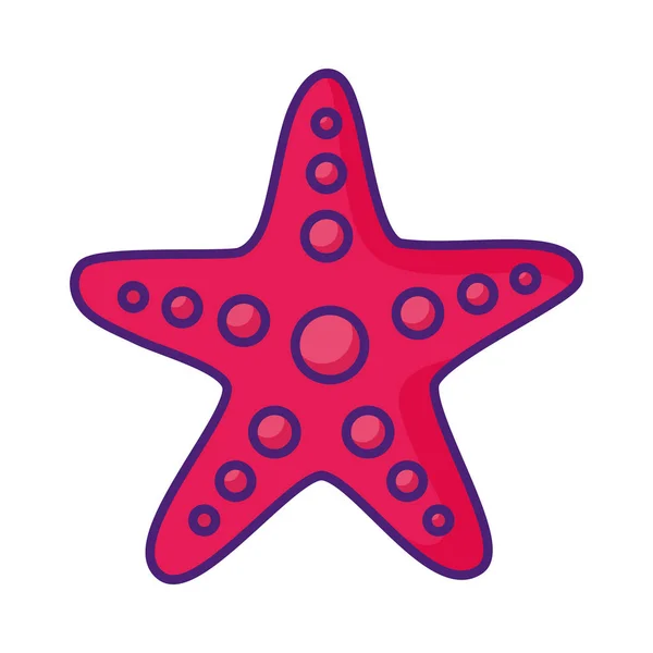 Sea starfish isolated icon vector ilustration — Stock Vector