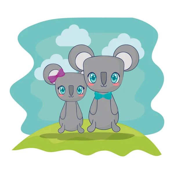 Drăguț koala cuplu personaje vector ilustrare — Vector de stoc