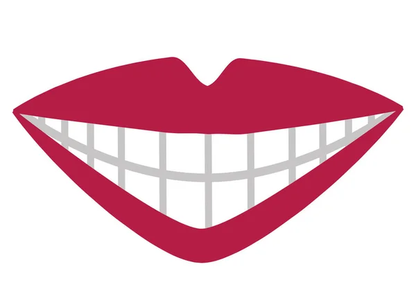 Boca com dentes perfeitos ilustração vetorial — Vetor de Stock