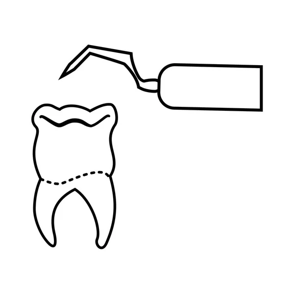 Зуб человека с векторной иллюстрацией стоматолога — стоковый вектор