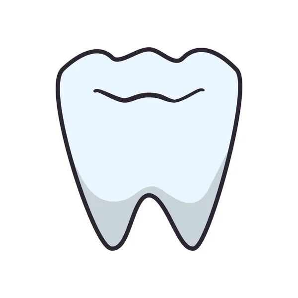 Tooth human isolated icon vector illustration — Stock Vector