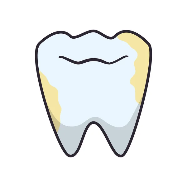 Tooth human isolated icon vector illustration — Stock Vector