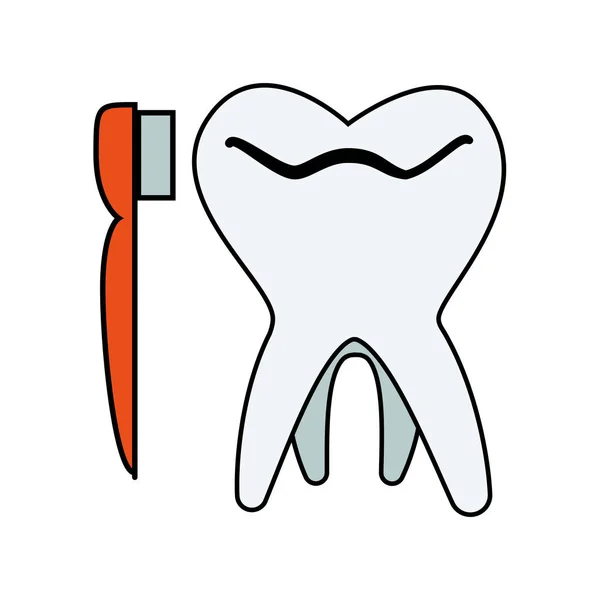Zahn Mensch mit Bürstenvektor Illustration — Stockvektor