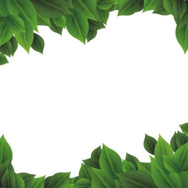 ekoloji yapraklar bitki simgesi vektör illüstrasyon