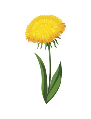 Güzel çiçekler tasarım vektör illüstrasyon